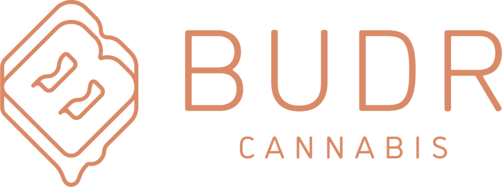 Budr Logo Lockup_Copper